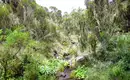 Kilimanjaro: Marangu-Route