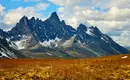 Abenteuer Yukon & Alaska: Paddeln auf dem legendären Fluss