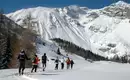 Schneeschuhtouren im stillen Obernbergtal