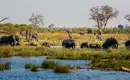 Namibia & Botswana - Tiervielfalt zwischen Wüstenbergen und Flussoasen