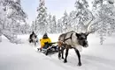 Magische Winteridylle in Schweden: Authentische Naturerlebnisse im Wildnisgehöft Solberget