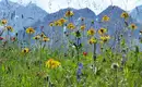 Bergwanderwoche rund um Oberstdorf im Allgäu