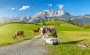 Alpenüberquerung vom Tegernsee nach Kitzbühel