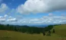 Die schönsten Wanderungen im Schwarzwald