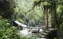 Person überquert eine Holzbrücke in dichtem, grünem Nebelwald in Kolumbien.