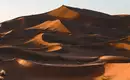 Hügelige Sanddünen der Sahara im warmen Abendlicht, in ruhiger Wüstenlandschaft.