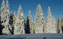 Schneeschuhtouren im Kleinwalsertal