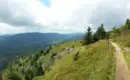 Die schönsten Wanderungen im Schwarzwald