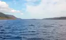 Blick auf Loch Ness mit ruhigem Wasser und weitläufiger Landschaft in Schottland.