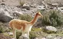 Ecuador auf verborgenen Wegen entdecken