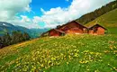 Natur intensiv im Alpenpark Karwendel