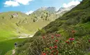 Natur intensiv im Alpenpark Karwendel