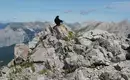 Natur intensiv im Alpenpark Karwendel – extralang