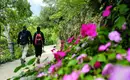 Meran gemütlich erwandern