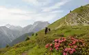 Dolomiten- Exklusivwoche