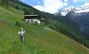 Wanderwoche Ahrntal