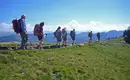 Gruppe von Wanderern im Naturpark Nagelfluhkette mit Blick auf Berge und blauen Himmel.