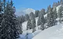 Schneeschuhwanderungen im Allgäu