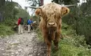 Alpenüberschreitung – Vom Königssee zu den Drei Zinnen