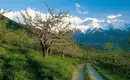 Meran gemütlich erwandern