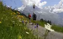 Schweiz individuell - Der Bärentrek