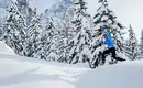 Schneeschuhtouren im stillen Obernbergtal