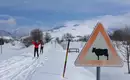 Skitourenwoche in den Abruzzen