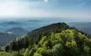 Vom Schwarzwald zum Bodensee - individuelle Trekkingwoche