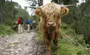 Individuelle Trekkingwoche vom Königssee zum Chiemsee