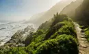 Ein Wanderweg entlang der felsigen Küste von Tsitsikamma im Sonnenlicht.