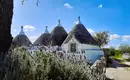 Traditionelle Trulli mit Lavendel in Apulien, Italien.