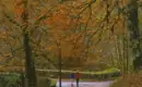 Zwei Wanderer auf einem herbstlichen Waldweg entlang des Great Glen Way in Schottland.