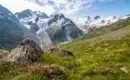 Alpine Landschaft im Oberengadin mit Blumen, Felsen und Gletschern.