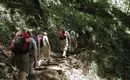 Eine Gruppe Wanderer mit Rucksäcken auf einem Waldpfad auf Menorca.