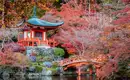 Japan: Kirschblüte oder Herbstlaub zaubern Farbenwunder