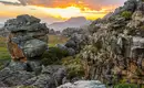 Südafrikanische Berglandschaft bei Sonnenuntergang mit Felsen und Vegetation.