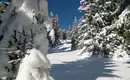 Schneeschuhtouren rund um Oberstdorf, Teil 2