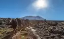 Kilimanjaro individuell - Lemosho Route mit Crater Camp