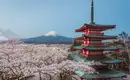 Japan: Kirschblüte oder Herbstlaub zaubern Farbenwunder