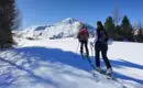 Wochenend-Skitouren auf der Alm