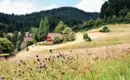 Die schönsten Wanderungen im Schwarzwald