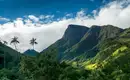 Panoramablick auf das Cocora Tal mit hohen Wachspalmen