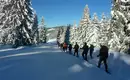 Schneeschuh-Alpenüberquerung von Mittenwald nach Sterzing