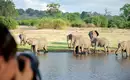 Botswana - Das grüne Herz der Kalahari mit Egmont Strigl