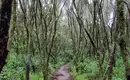 Kilimanjaro: Marangu-Route