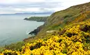 Irland - die Wicklows gemütlich erwandern