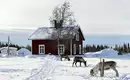 Magische Winteridylle in Schweden: Authentische Naturerlebnisse im Wildnisgehöft Solberget