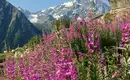 Entlang der Alta Via della Valmalenco