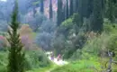 Gruppe von Wanderern auf einem Pfad in grüner, bewaldeter Landschaft auf Korfu.