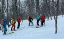 Skitouren Senja - Norwegens Traumziel